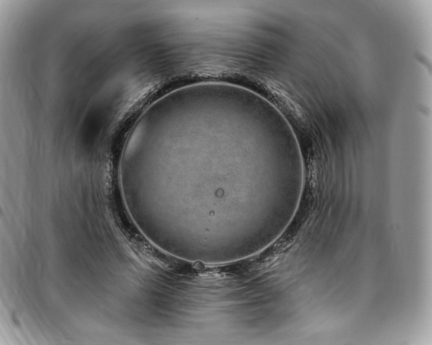 X0000095130591200712071310