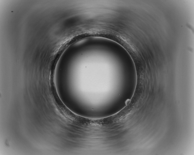 X0000095130592200712071310