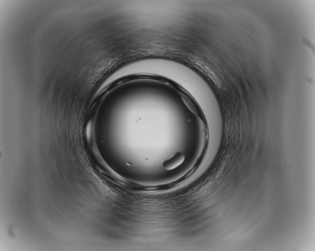 X0000095130593200712071310