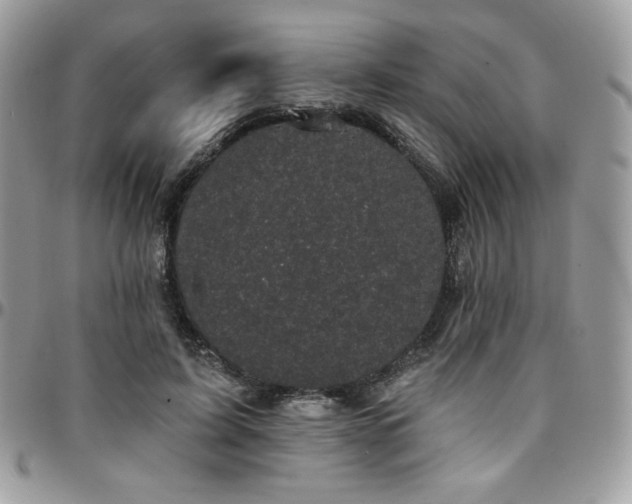 X0000095130595200712071310