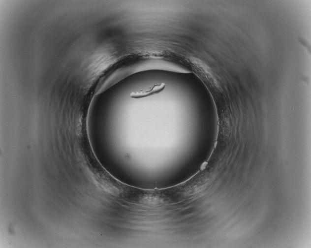 X0000095130596200712071310