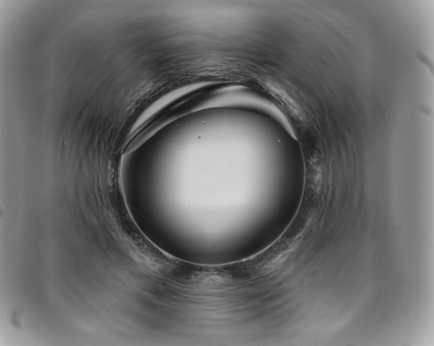 X0000095130597200712071310