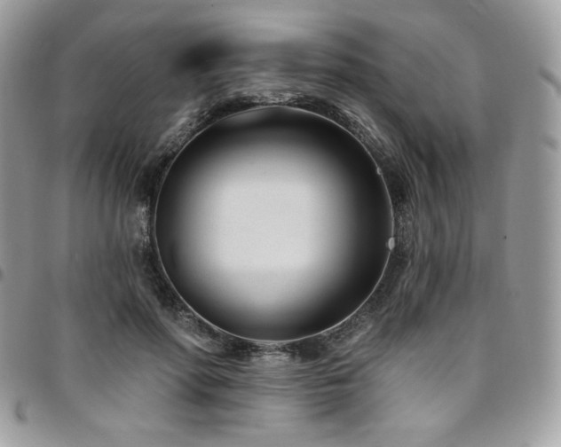 X0000095130598200712071310