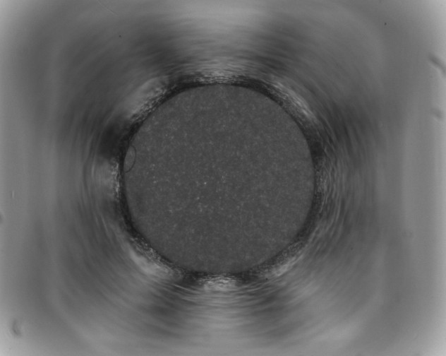 X0000095130599200712071310