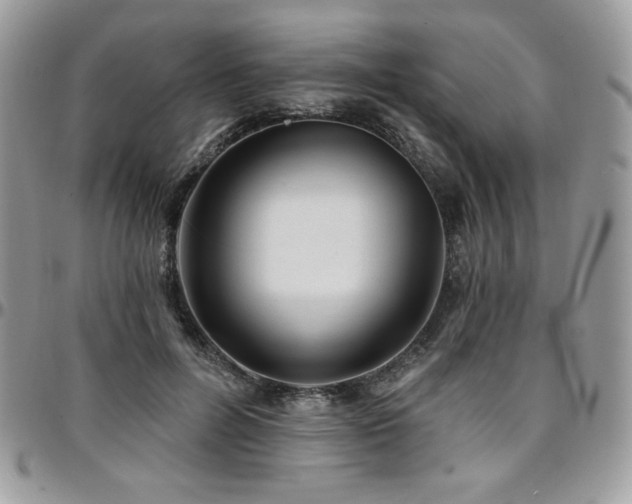 X0000095130600200712071310