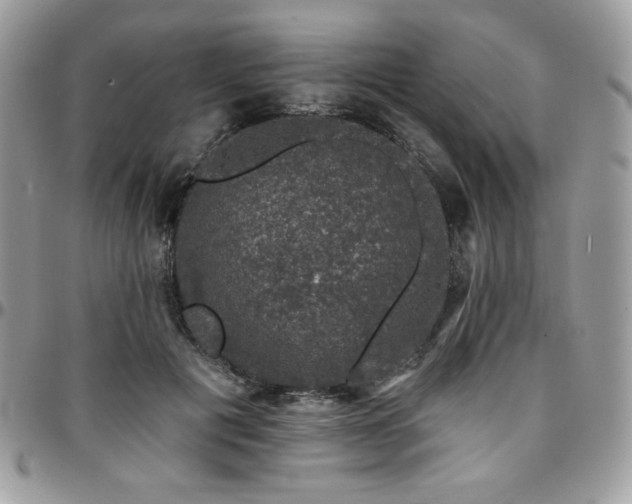 X0000095130601200712071310