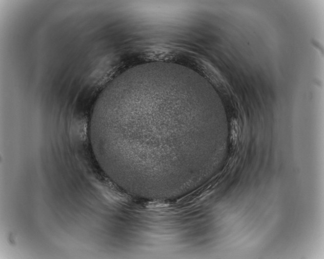 X0000095130602200712071310