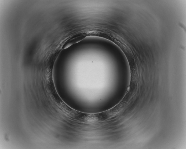 X0000095130604200712071310