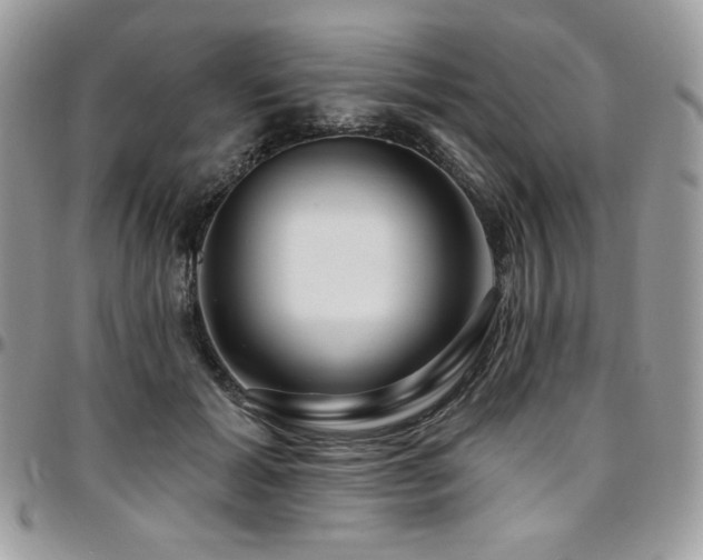 X0000095130605200712071310