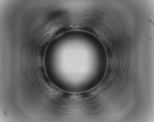 X0000095130606200712071310