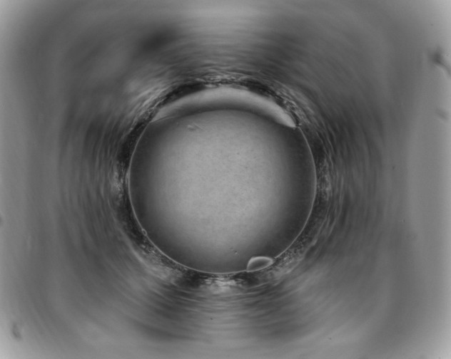 X0000095130607200712071310