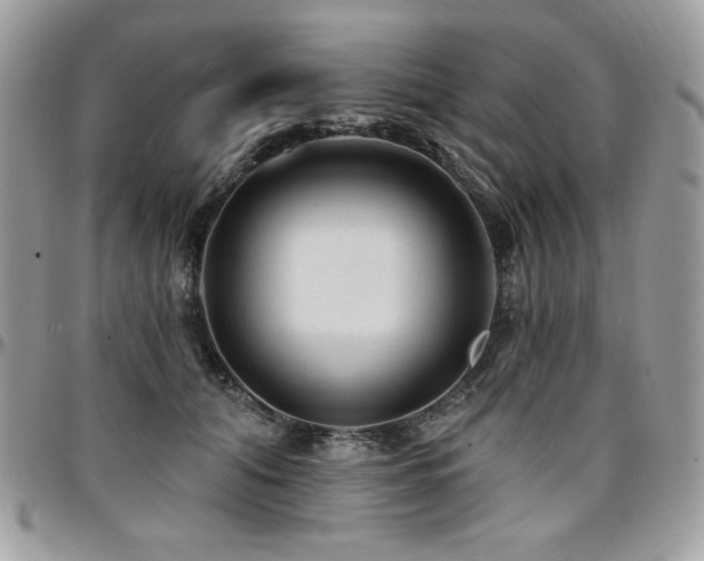 X0000095130608200712071310