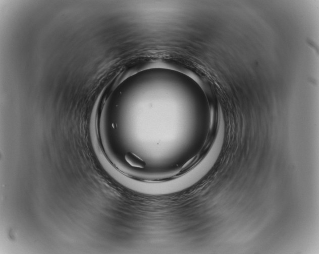 X0000095130609200712071310