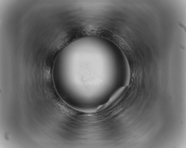 X0000095130610200712071310