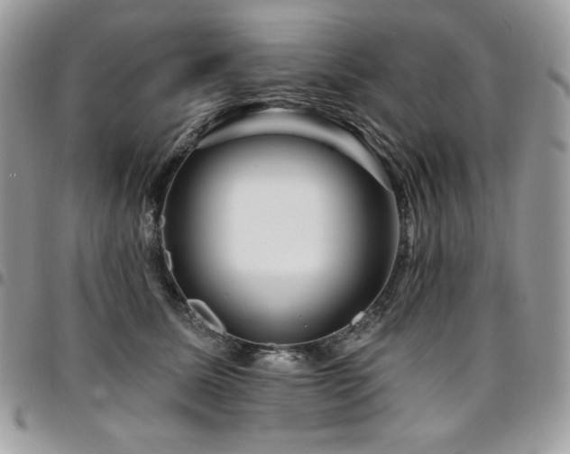 X0000095130611200712071310