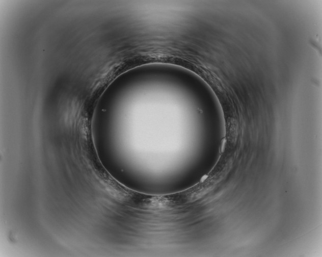 X0000095130612200712071310