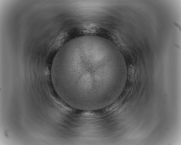 X0000095130614200712071310