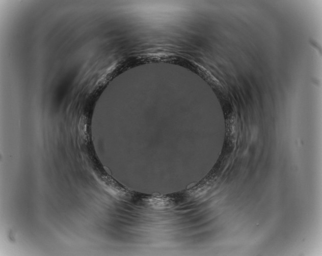 X0000095130615200712071310