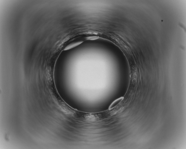 X0000095130616200712071309