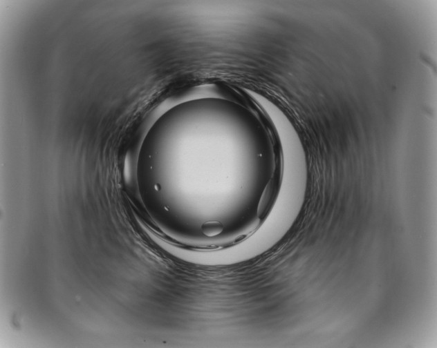 X0000095130617200712071309