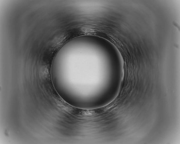 X0000095130618200712071309