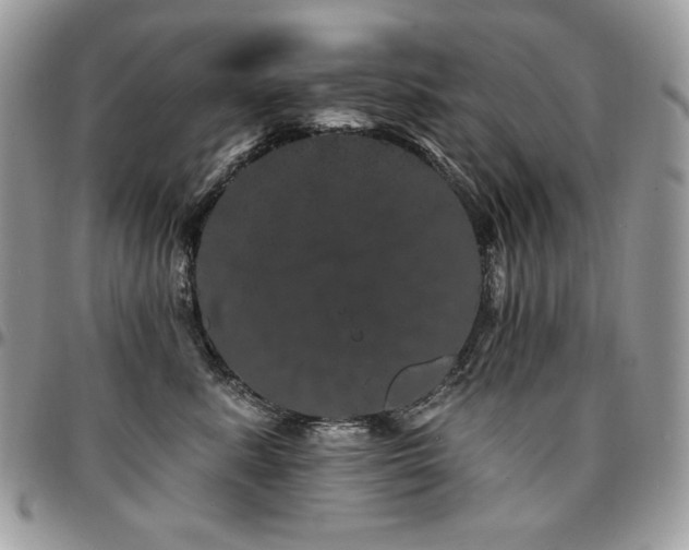 X0000095130619200712071309