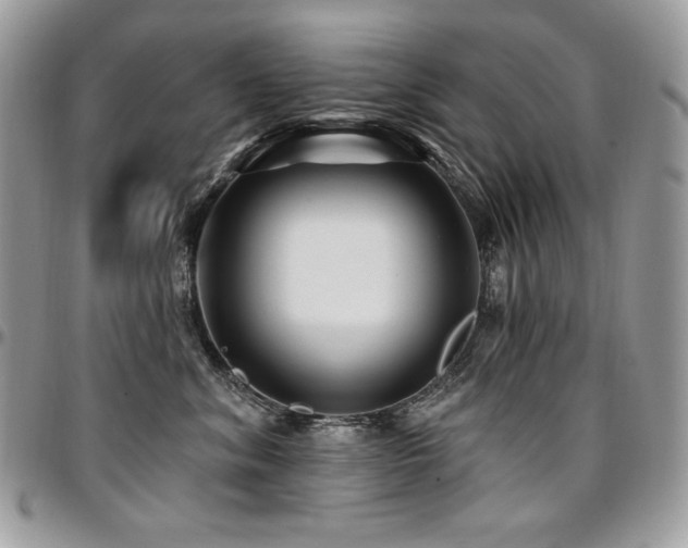 X0000095130620200712071309