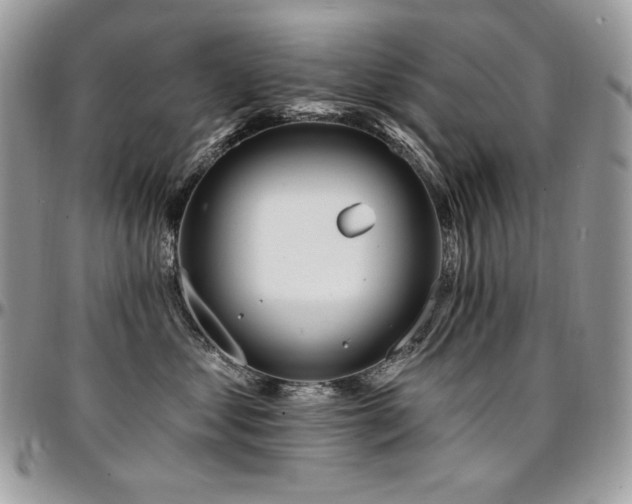 X0000095130621200712071309