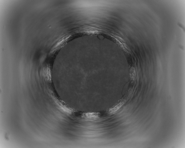 X0000095130622200712071309