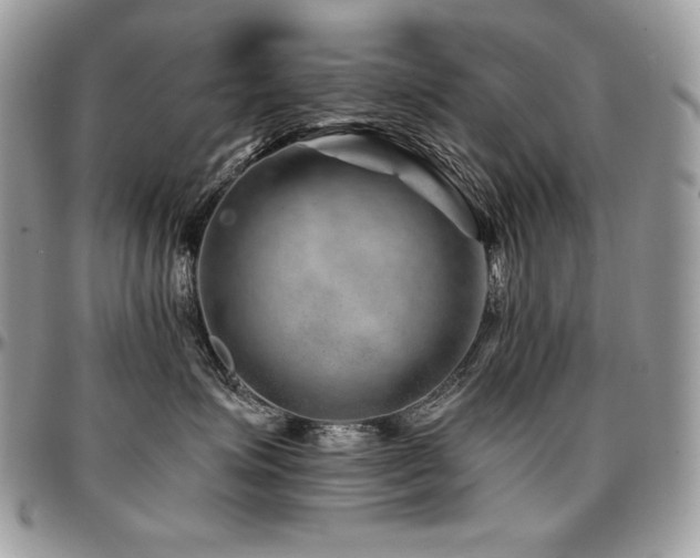 X0000095130623200712071309