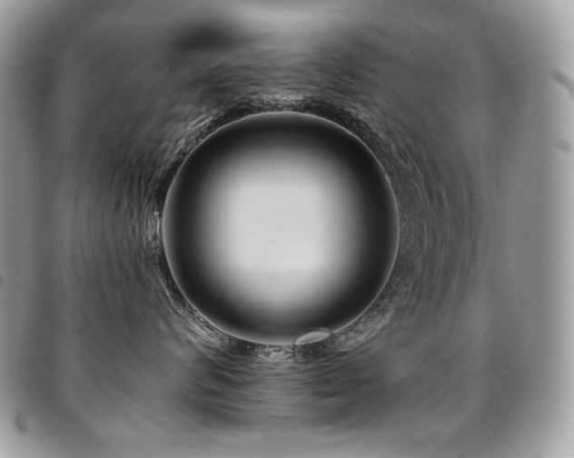 X0000095130624200712071309