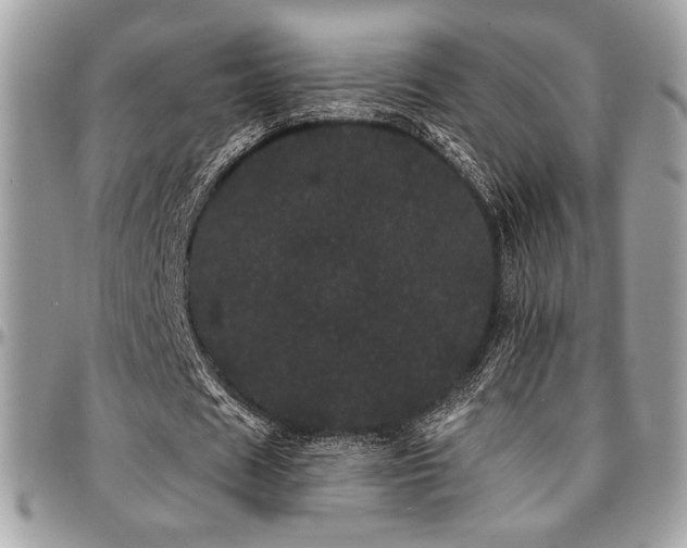 X0000095130625200712071309