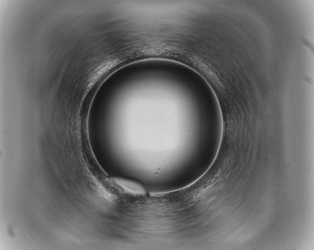 X0000095130626200712071309