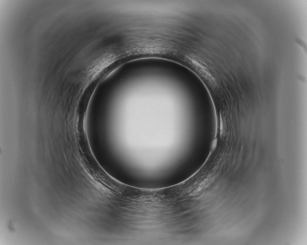 X0000095130627200712071309