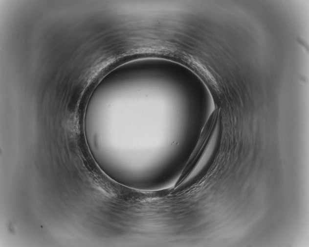 X0000095130628200712071309