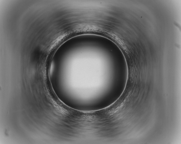 X0000095130629200712071309