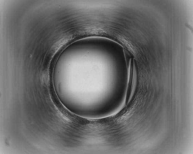 X0000095130630200712071309