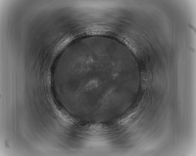 X0000095130631200712071309