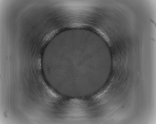 X0000095130633200712071309