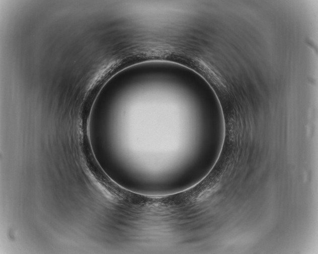 X0000095130634200712071309