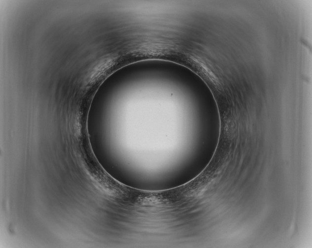 X0000095130635200712071309