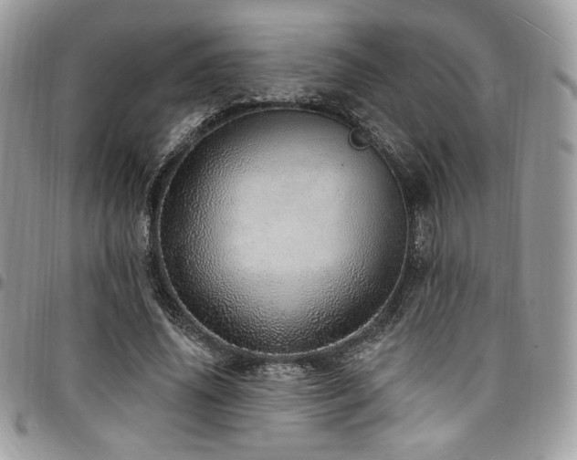 X0000095130636200712071309