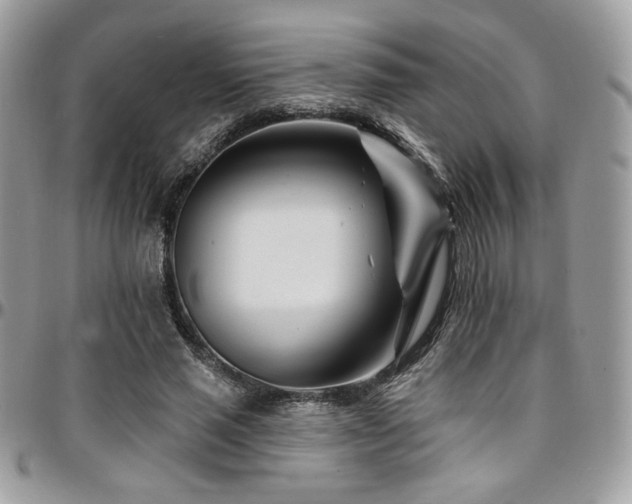 X0000095130637200712071309