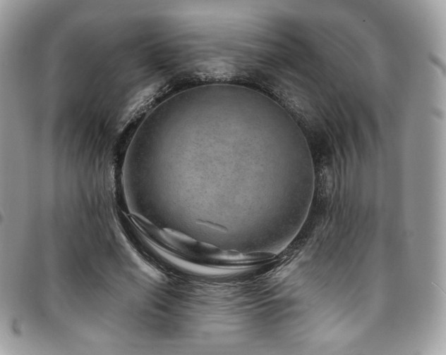 X0000095130638200712071309