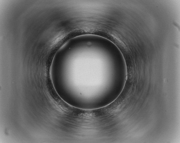 X0000095130639200712071309