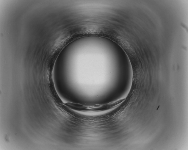 X0000095130640200712071309