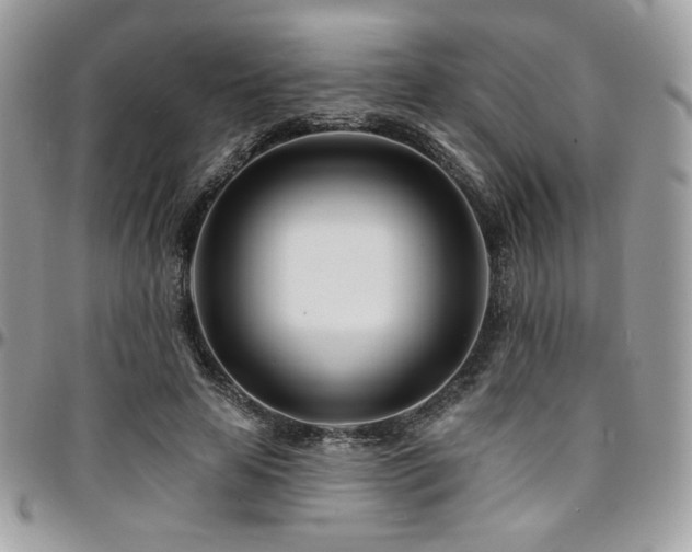 X0000095130641200712071309