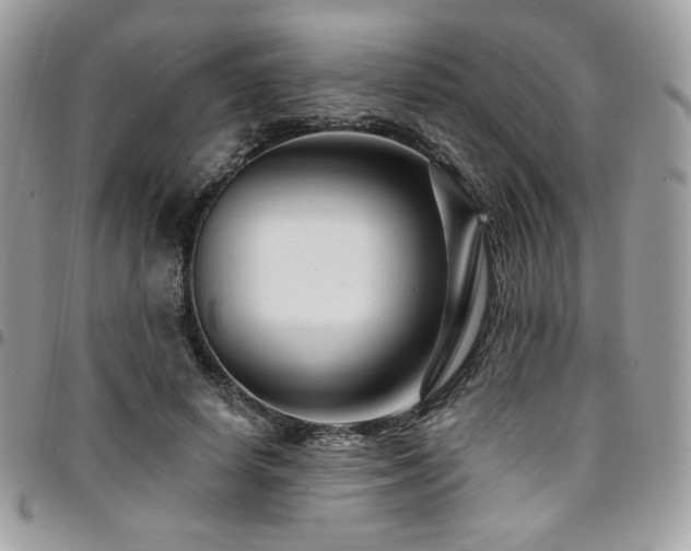 X0000095130642200712071309