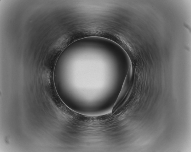 X0000095130643200712071309