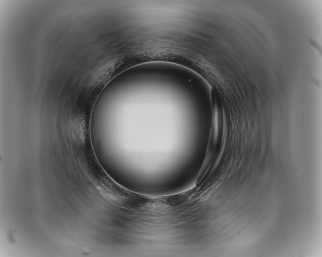 X0000095130644200712071309